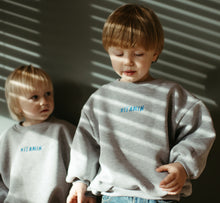 Load image into Gallery viewer, Oversized mikina Grey